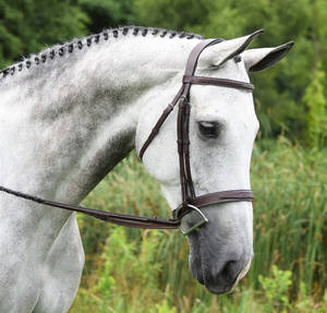 Productos de brida Indio Hunter, correa de carreras de cuero trenzado duradero, entrenamiento para caminar para suministros para mascotas medianos y grandes - Product Image 1