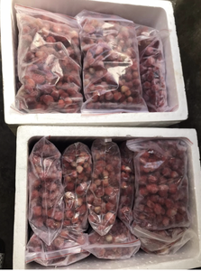 Las mejores fresas congeladas de Vietnam disponibles a granel - Product Image 3