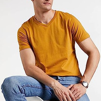 T-shirts pour hommes à col en V multicolores, pré-rétrécis, doux, coupe classique, t-shirt premium classique, mélange de coton biologique et de bambou, anti-boulochage