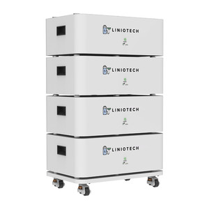 Batería LIN IOT ECH 20 kwh 400ah PowerBrick - Product Image 3