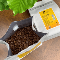 Grains de café robusta et arabica torréfiés de qualité supérieure du fabricant ODM Vietnam qualité de torréfaction moyenne dans chaque emballage Sip-Bag