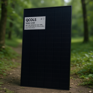 Panel Solar Bifacial Qcells 430W NEO Tipo N con Microinversor Integrado, Silicio Monocristalino Negro - Product Image 3