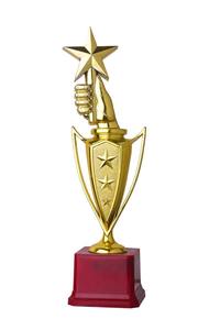 Copa de Trofeo de Cricket de Metal Premium para Ceremonia de Premiación de Campeonato, Evento Deportivo, Regalo Conmemorativo - Product Image 6