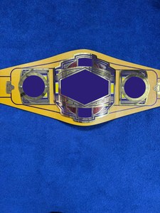 Diseño personalizado para Champion Legacy Award 2MM de espesor de cuero genuino pesado Material suave y duradero Logotipo frontal para artes marciales - Product Image 2