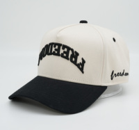 Casquette de baseball bicolore avec logo brodé 3D plat sur le devant, multicolore, pour la vente en gros, les voyages, les activités de plein air, ODM Injae Vina Vietnam Hat