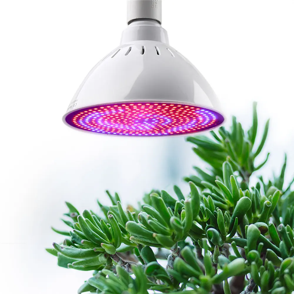 Liweida 60 watts plantes d'intérieur led poussent ampoule e27 e26 succulentes rouge bleu smd led ampoules et graines de fleurs lumière végétale