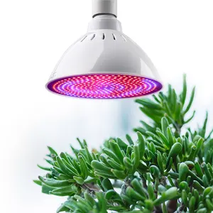 Liweida 60ワット屋内植物LED成長電球e27e26多肉植物赤青smd LED花球根と種子植物ライト