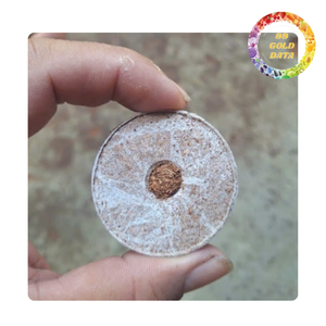 Granulés de coco en gros |   Milieu de culture durable pour l'agriculture écologique - Product Image 5