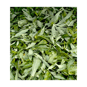 HOJAS DE YUCA CONGELADAS DULCE TIERAS Y SABROSAS/RECETA FAMILIAR/VALOR ASEQUIBLE/HECHO EN VIETNAM - Product Image 6