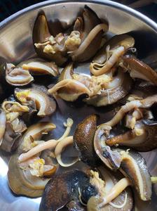 Escargots géants d'Afrique séchés de qualité supérieure 100% naturels, épicés, pour adultes, approvisionnement en vrac, escargots comestibles, origine Allemagne - Product Image 3