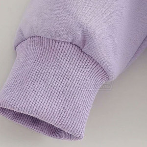 Sudadera con capucha para mujer, ropa deportiva personalizada, lisa, de poliéster, venta al por mayor - Product Image 5