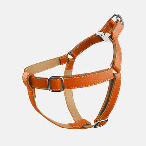 Produit en vente Nouveauté Harnais de poitrine pour chien Bon marché Harnais pour chien respirant de taille et de couleur personnalisées - Product Image 1