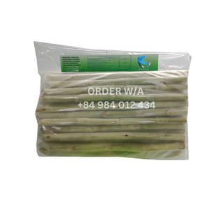 PROVEEDOR MAYORISTA DISTRIBUIDOR de Caña de Azúcar Congelada IQF de Vietnam, Lista para Enviar 2024, 100% Fresca, Natural, Dulce y Entera - Product Image 6