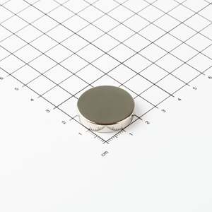 Magnete a disco in neodimio Ø25x5mm - Product Image 1