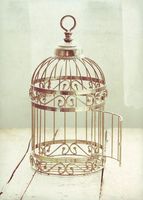Cage à oiseaux en métal noir artisanat décor à la maison taille et couleur personnalisables en gros meilleure qualité