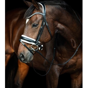 Brida snaffle - Product Image 4