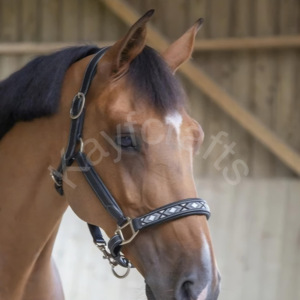 Licou de cheval en cuir élégant avec accents perlés et boucles réglables en acier inoxydable - Product Image 2
