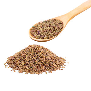 Alfalfa | Granja-Botánico fresco | Rico beneficio de hierbas - Product Image 5