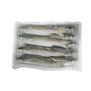 กระบอกน้ำสูญญากาศสำหรับแช่แข็ง iqf/bqf - Product Image 2