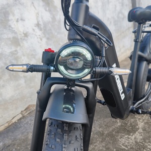 Mô Hình Mới E-Xe Đạp 1000W 48V 20Ah Động Cơ Duy Nhất Pin Nội Bộ Phong Cách Dài Phạm Vi Xe Đạp Điện Người Lớn Xe Đạp Điện - Product Image 3