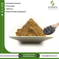 Fourniture directe 100% poudre d'extrait de résine Shilajit de qualité supérieure solvant de poudre d'extrait de plantes naturelles pures de l'usine en gros