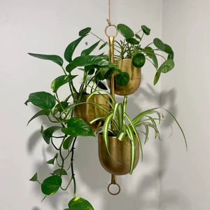 Pot de fleurs décoratif en métal fini doré pour intérieur extérieur jardin balcon patio maison décoration de plantes - Product Image 1