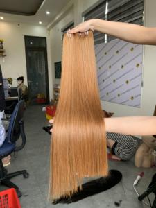 Cabello Vietnamita Sedoso, Largo y Corto, Trama Única, Colores Mixtos de Donante, Precio de Fábrica, Liso - Product Image 1