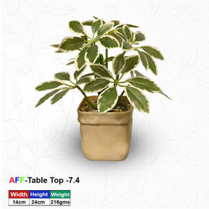Planta Artificial Suculenta con Hojas Variegadas Escarchadas para Mesa - Product Image 1