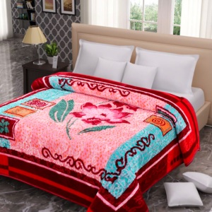 Venta al por mayor de 2 capas tamaño King Raschel manta gran oferta diseño de personajes florales patrones sólidos para el invierno personalizado nuevas mantas de visón - Product Image 4