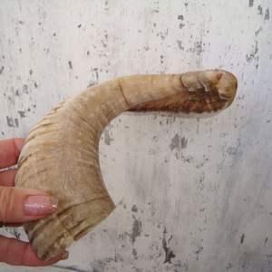 ของเล่นสุนัขเคี้ยวแตรแกะขนาดใหญ่และแกะเป็นมิตรกับสิ่งแวดล้อมบรรจุภัณฑ์แบบกำหนดเองจำนวนมาก - Product Image 3