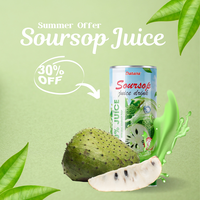 Groothandel 250Ml Private Label Tropisch Vruchtensap Drink Vietnam Toegevoegde Suiker Gratis Monster Andere Dranken Goedkope Prijs