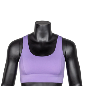 2025 femmes vêtements de sport professionnels personnalisé sans couture sport soutien-gorge séchage rapide Yoga soutien-gorge haut court course entraînement sport soutiens-gorge - Product Image 5