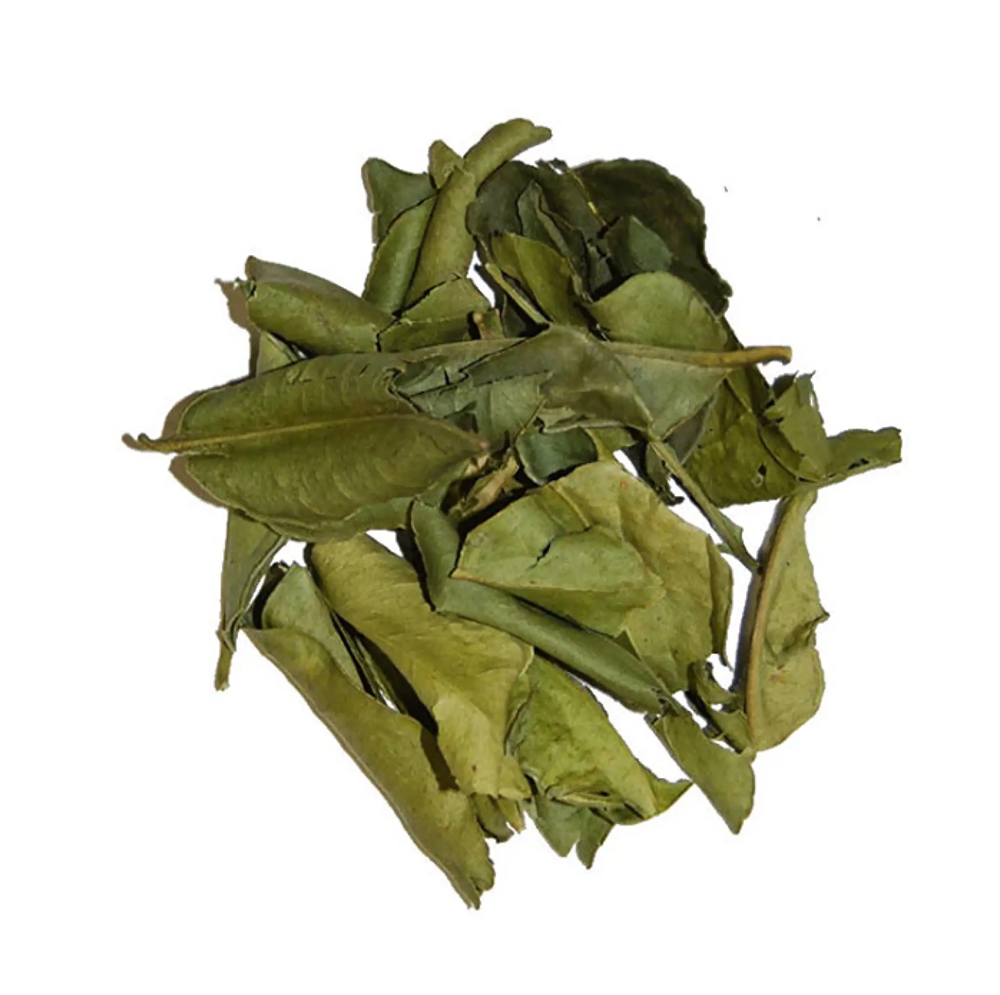 Foglia di limone essiccata/foglia di LIME essiccata foglie di Lime Kaffir di alta qualità Ms. Elysia (Whatsapp + 84789310321)