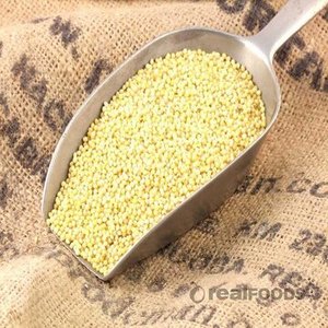 เมล็ดข้าวฟอกซ์เทลสีเหลืองออร์แกนิกคุณภาพสูง ไม่ขัดสี ปลอดสาร GMO ซูเปอร์ฟู้ดเพื่อสุขภาพ ขายส่งจำนวนมาก รับผลิตแบรนด์ส่วนตัว - Product Image 6