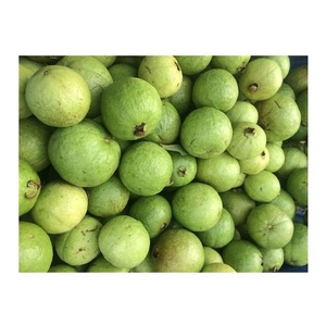 ฝรั่งสดออร์แกนิคคุณภาพสูง 20 กก. จากฝรั่งเศส ราคาขายส่งถูก - Product Image 4