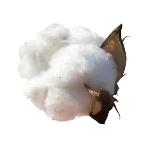 Hochwertige lose/gerollte/Blöcke Baumwollpulpe Zellstofffasermaterial zuverlässiger Lieferant Zellstoffbaumwolle