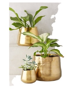 Maceta dorada de Metal con forma ovalada, juego grande de 3 macetas de flores de hojas para decoración del hogar, nuevo diseño - Product Image 1