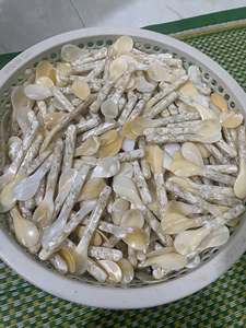 Fourchettes de luxe faites à la main en nacre pour la maison, l'hôtellerie, le café et la restauration – Cuillère de haute qualité en coquillage pour fêtes et mariages - Product Image 6