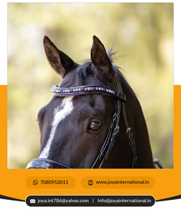 Approvisionnement en vrac d'usine indienne Purple Rain Limited Edition Snaffle Bridle Black Patent Intelligent Horse Product à vendre - Product Image 5