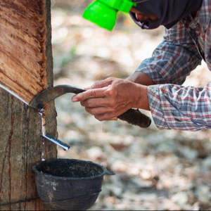 Copas de Látex de Caucho Natural con Diseño de Patrón Líquido, Grado General - Product Image 5