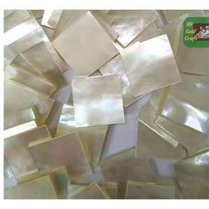 PLAQUES DE Nacre DOUBLE PLATE EN GROS, SURFACE POLIE POUR L'ARTISANAT ET LES BIJOUX DE QUALITÉ SUPÉRIEURE - Product Image 5