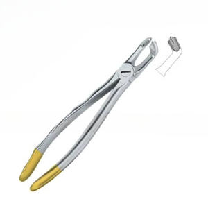 Fórceps de extracción de dientes dentales Fig.79 Diam Logotipo personalizado de calidad superior plateado con instrumentos dentales de acero inoxidable dorado - Product Image 6