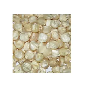 Maíz blanco sin OGM y maíz blanco para alimentación humana y animal Maíz blanco seco/Maíz - Product Image 5