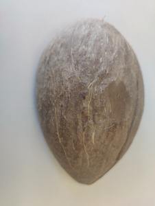 Cuenco de cáscara de coco ovalado semipulido japonés de 100ml, plato de servicio Biodegradable hecho a mano Natural para cocina resistente al calor - Product Image 2