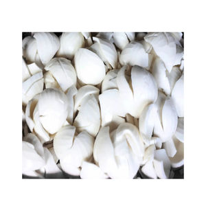 Carne de coco joven congelada Premium de Vietnam de alta calidad para postres de batidos y fabricación de alimentos a granel - Product Image 6