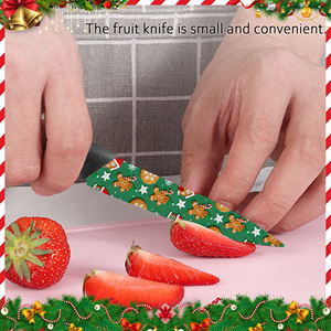 Couteau de chef en céramique en gros avec manche en plastique pour la cuisine à domicile, vente chaude, approvisionnement en usine, livraison gratuite - Product Image 3