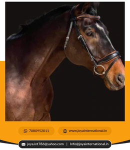 Nouveau Top Vente Équitation Bride Gear Halter Produits Équestres Premium Cheval Tête Collier Equine Headstall Bridle - Product Image 2