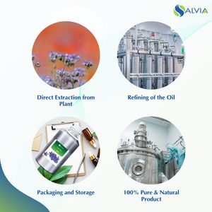 Tansy Blue Oil 100% Pure and Natural Venta al por mayor a granel Precio más bajo Embalaje personalizado - Product Image 4