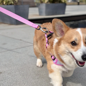 Correa de perro Leasholic OEM ODM, diseño personalizado, cómodo mango acolchado colorido, Metal de moda duradero con estilo clásico - Product Image 1