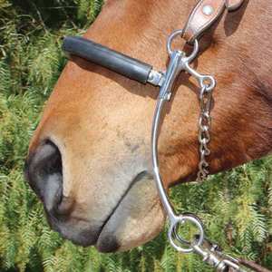 Mors de dressage Hackamore Brittany Pozzi pour chevaux, avec embouchure lisse et polie, tous les outils d'équitation sont disponibles - Product Image 5